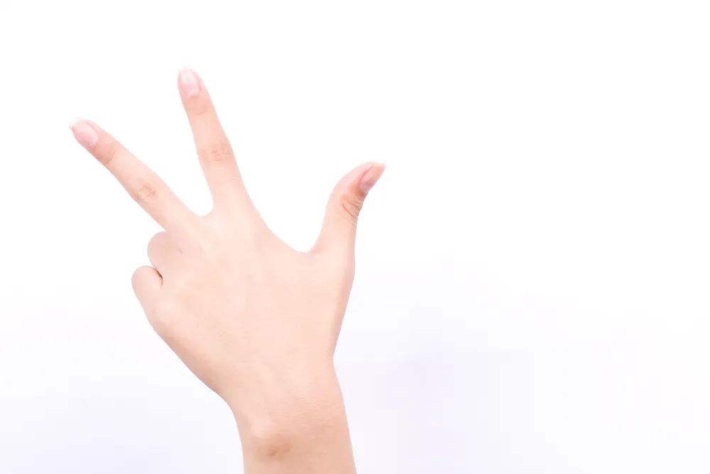 内部統制の3点セットとは