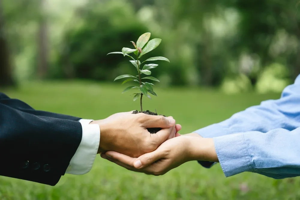 ファミリーオフィスとは?役割や設立のメリット、資産管理会社との違いについて解説